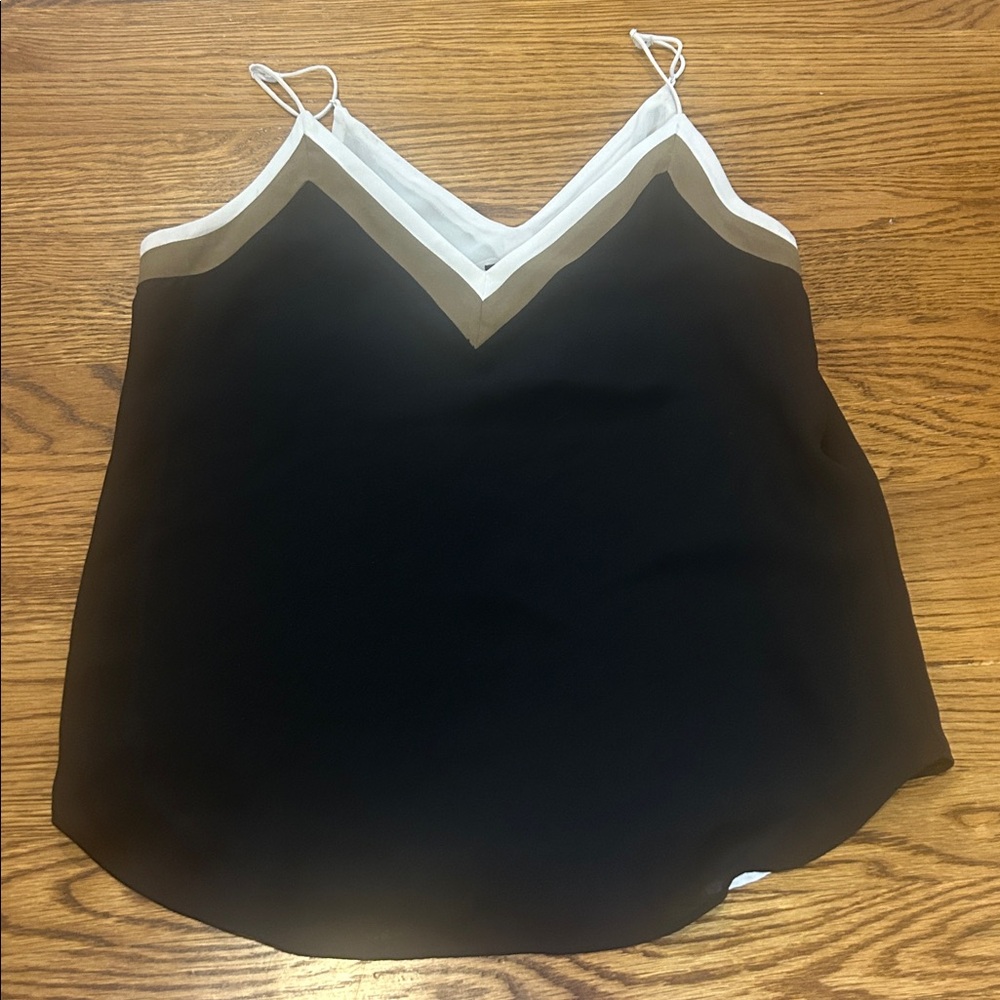 Express V-Neck Top